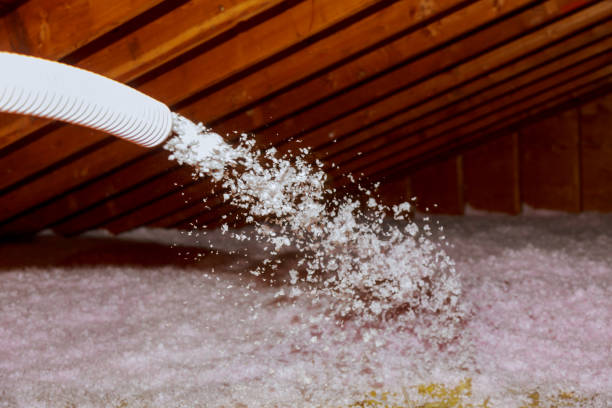 Best Blown-in Insulation in Dexter, NM