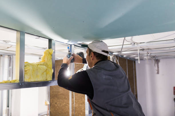 Reliable Dexter, NM Insulation Contractor Solutions