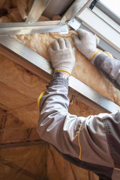 Best Cellulose Insulation in Dexter, NM