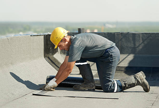 Best Geographic-Specific Insulation Services in Dexter, NM
