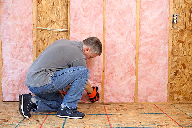 Types of Insulation We Offer in Dexter, NM