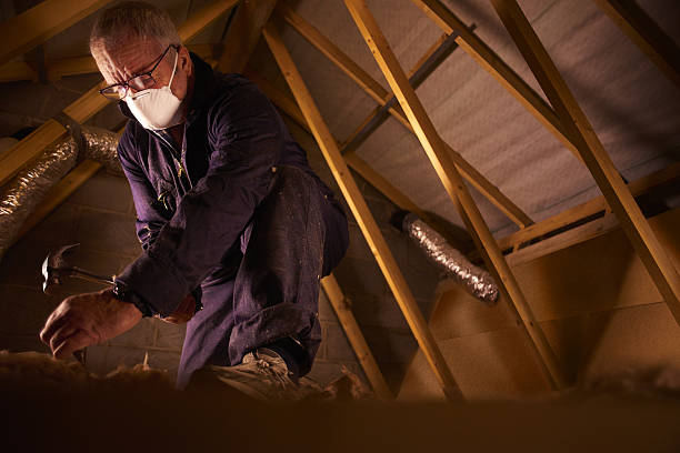 Professional Insulation Contractor in Dexter, NM