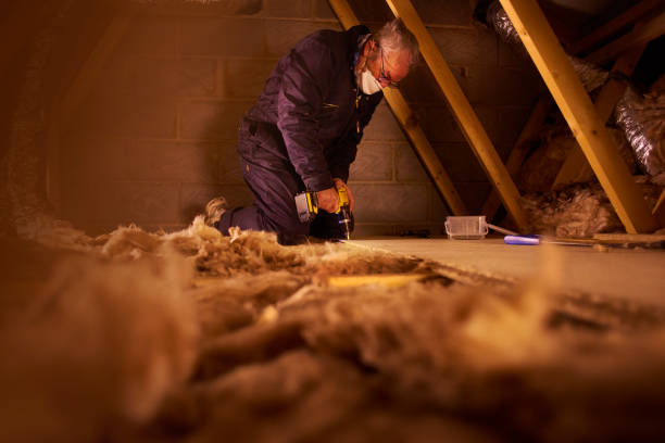 Best Spray Foam Insulation in Dexter, NM